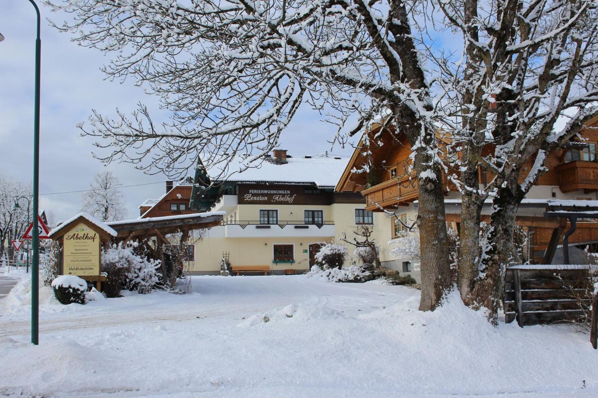 Abelhof Villa Schladming Exterior photo